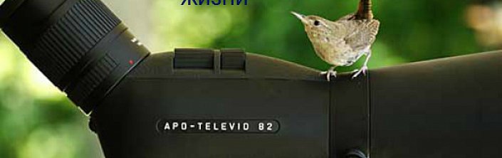 Лучшие компактные зрительные трубы современности - Leica APO-Televid!